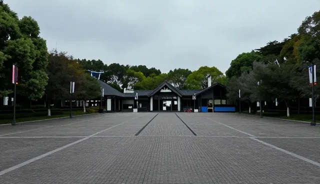 展示板块内容缺失如何处理，信息传播效率如何提升