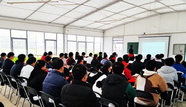 木业加工中技术开发的常见误解与正确使用方法