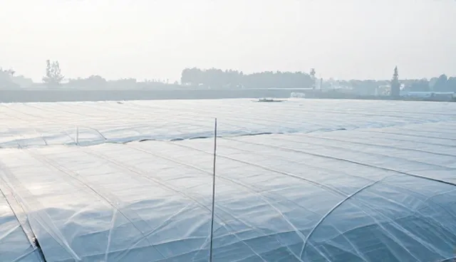 网站选型需关注小程序覆盖度