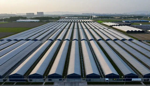 短视频内容定制如何提升传播效率与适用场景