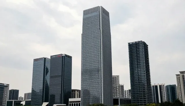 地区差异对技术咨询的影响及应对策略