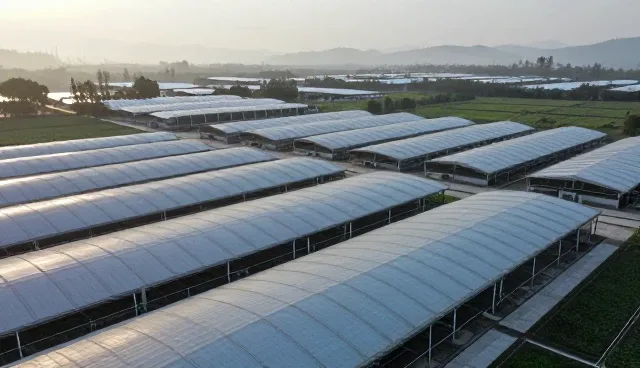 平台对接中软件选型的误区及优化建议