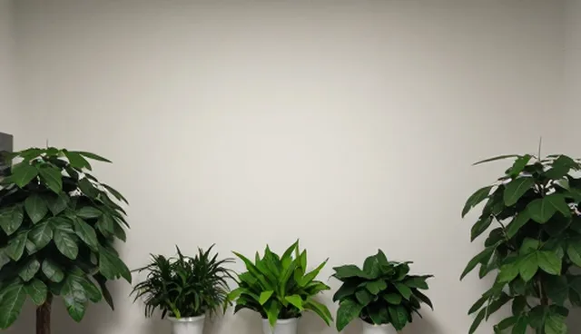成果转化的常见误区及正确使用建议