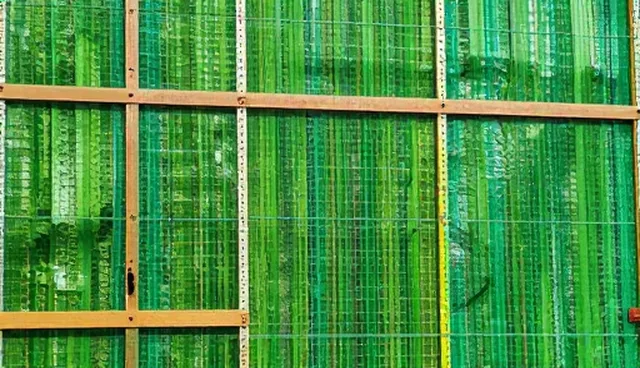 管理效能提升：性能策划在商务服务中的实践路径
