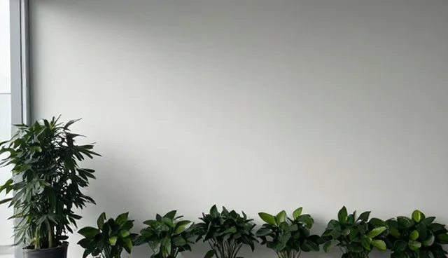 系统集成服务中运维服务的关键环节与发展趋势