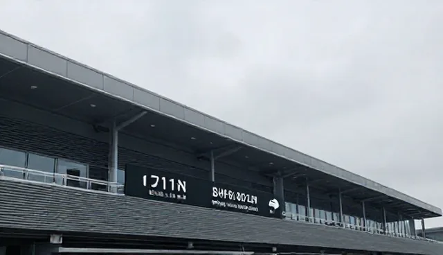 提升传播效率：内容分发与运营的维护策略