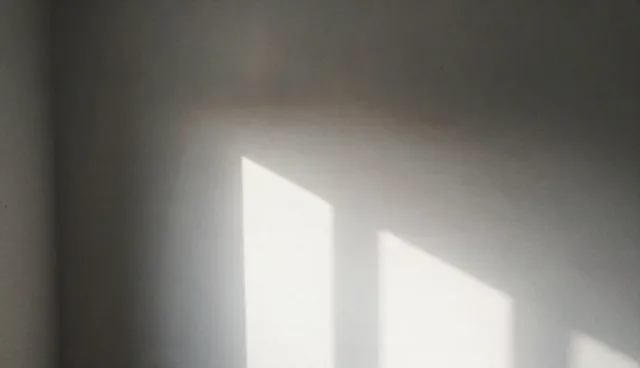 安全策略在成果转化中的适用情况与限制