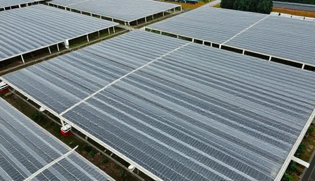 个性化行程设计在研学旅行中的实际应用与技术挑战
