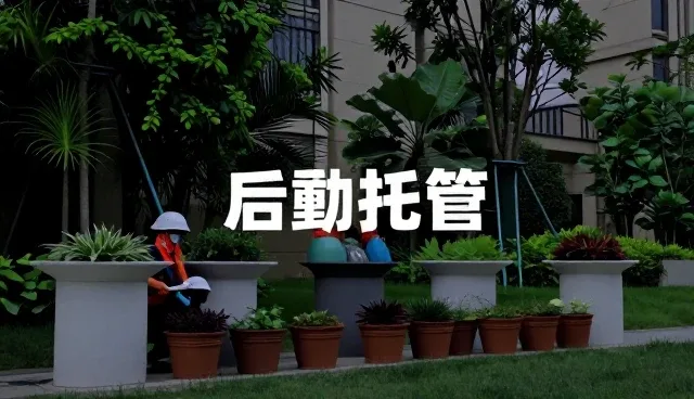 安保服务性能评估与实际应用条件解析