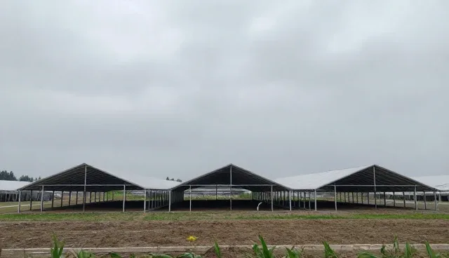 如何选择合适的农机以提升农业效率
