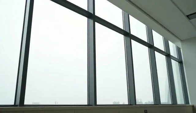 宠物日常诊疗中的常见问题与实用处理方法