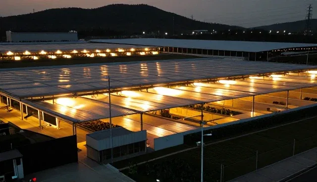 电商运营中APP与H5两种方式的取舍与选择