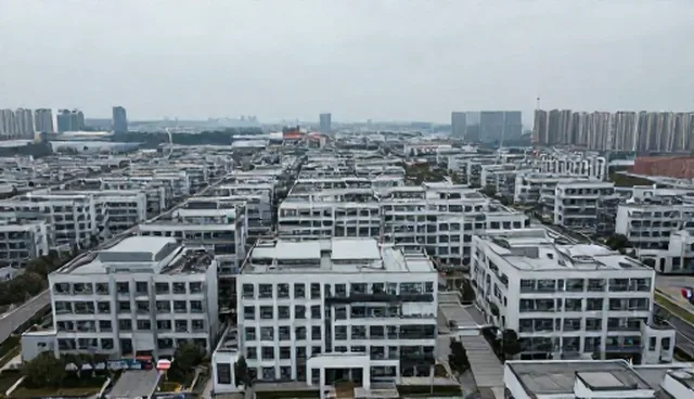 如何选择适合的种苗套餐实现高效生长管理？