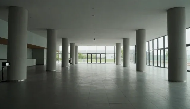 网站维护建议：适用情况与限制说明