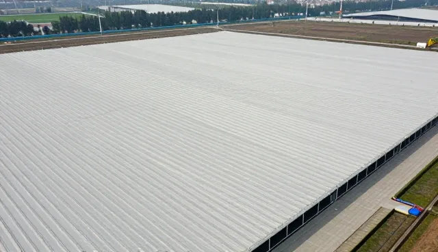 冷链配送在损耗控制中的实际应用与优化路径
