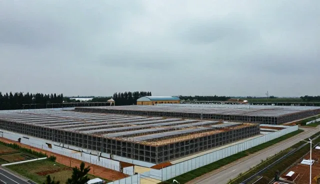 土建施工中技术服务的操作规范与应用建议