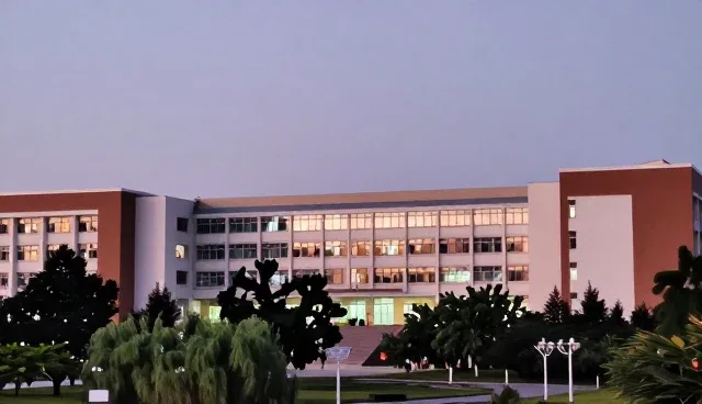 行业定制查询服务选型与使用建议
