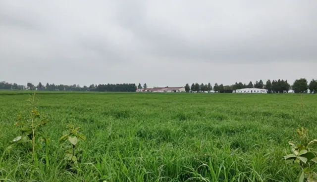 软件选型中的性能差异与适用场景分析，如何匹配业务流程需求