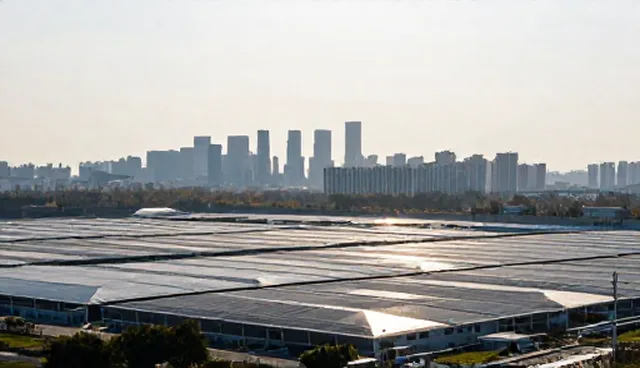 风险管理：化方案使用建议与选型关注点分析