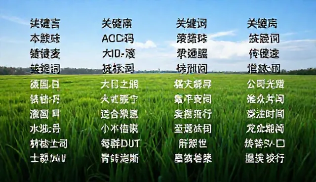 热门排行更新：技术支持人员常见问题分析