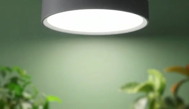 种植技术指导中的渠道供货检查要点