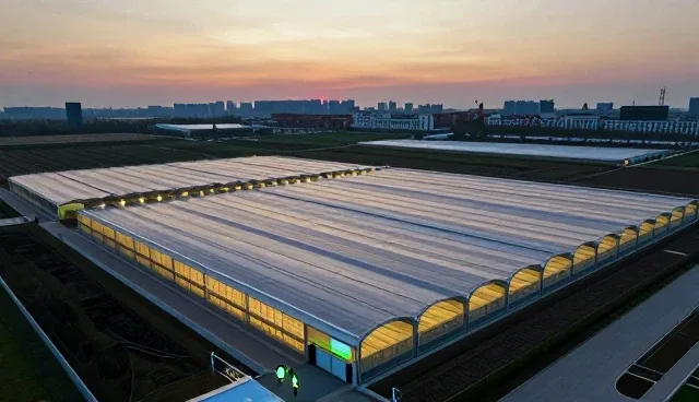 提升运输效率的基地合作实践与维护建议