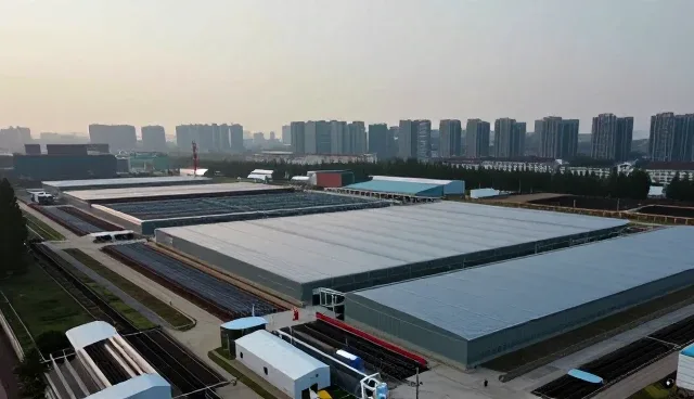 流程优化中的性能考量与适用场景分析