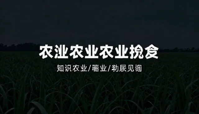线上传播策略在平面业务中的适用条件与选择依据