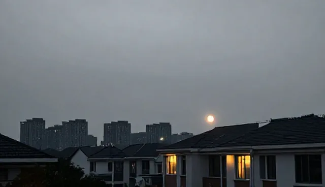 响应较为对性能评估结果的影响分析