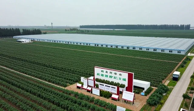 基地合作模式下的农业咨询实践路径分析