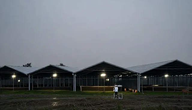 软件开发中的资源分配如何影响运维效率