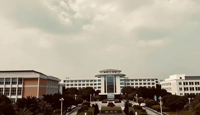 高级网页设计：信息发布系统中的查询优化与用户体验提升