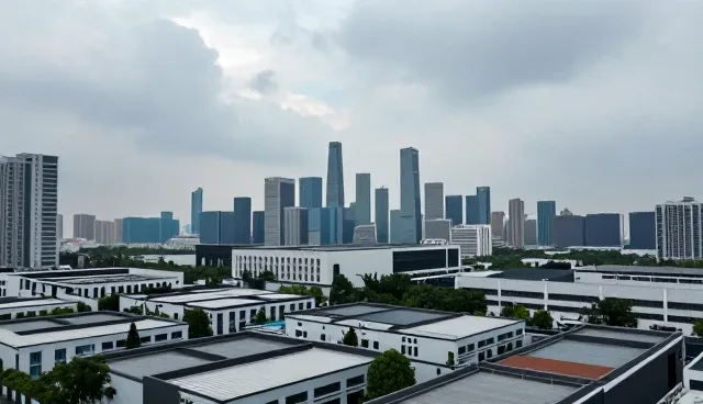 技术外包服务中的性能优化与适用条件分析