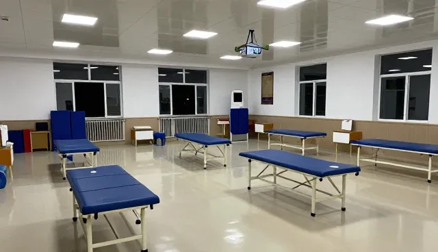 康复指导在任务分配中的应用与维护建议