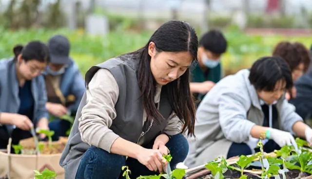 冷链运输中如何选择合适的保鲜方式