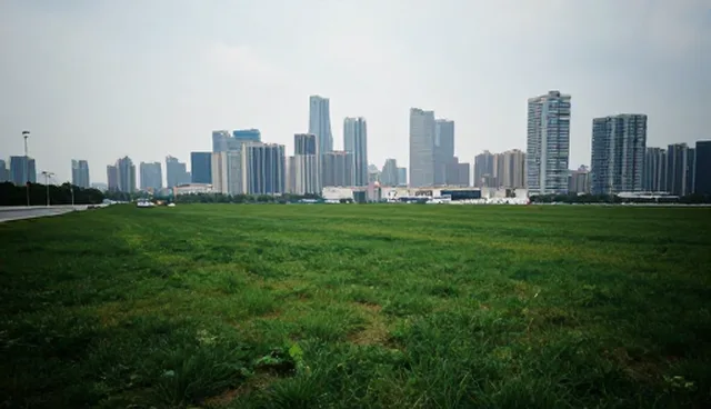 性能优化中技术支持的关键作用