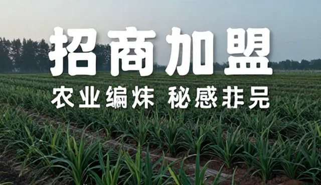 高端网站建设：打造企业线上核心竞争力的关键路径