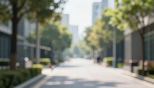 提升服务响应效率，优化地区业务运维管理