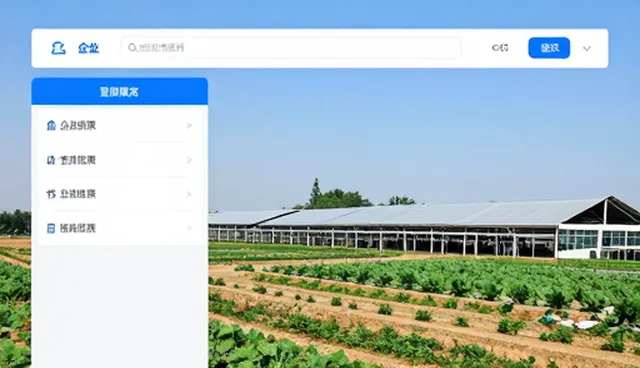 企业信息查询服务日常维护与高效使用指南