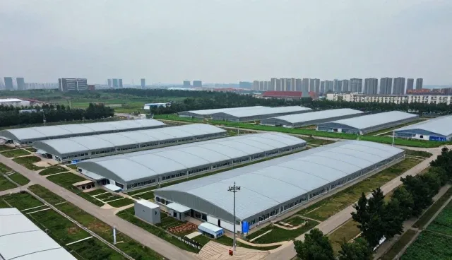 线上店铺运营中代运营服务的常见问题与应对策略