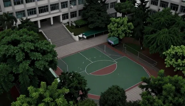 数据管理平台选型中的关键考量要素解析