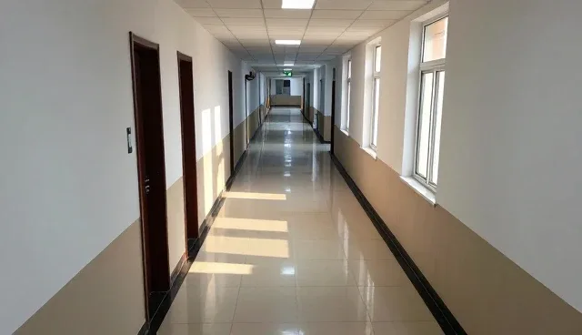 影视策划中选型关注点的性能与适用条件分析