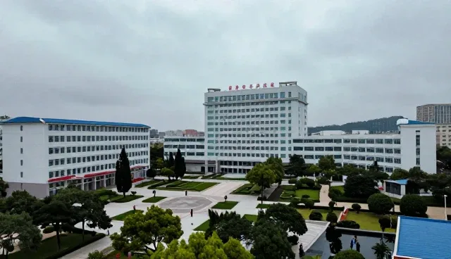 AI搜索优化套餐A：系统瓶颈下的两种优化策略对比