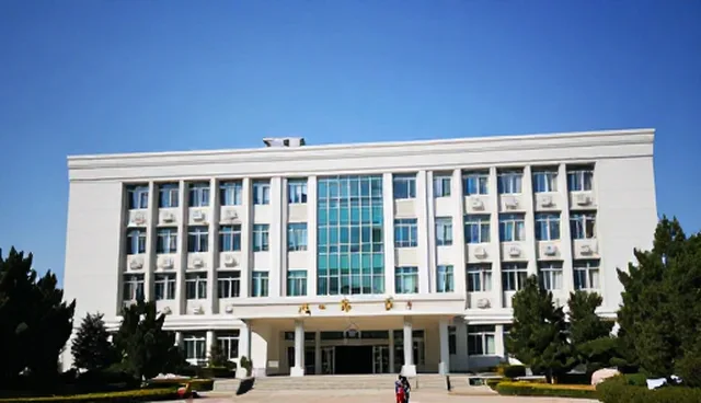 资源配置中团队性能的动态适配策略
