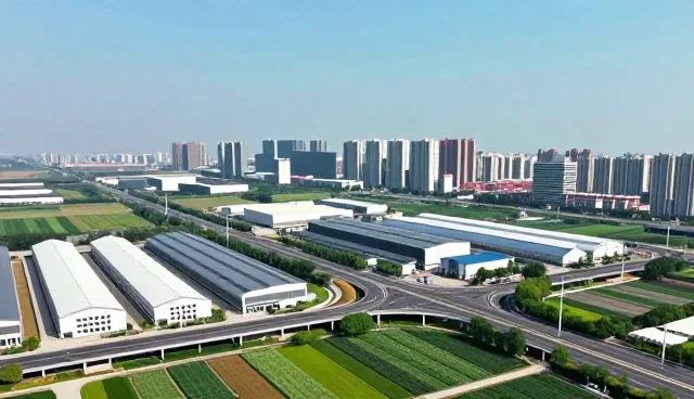 企业信息分类优化中的常见问题及应对策略