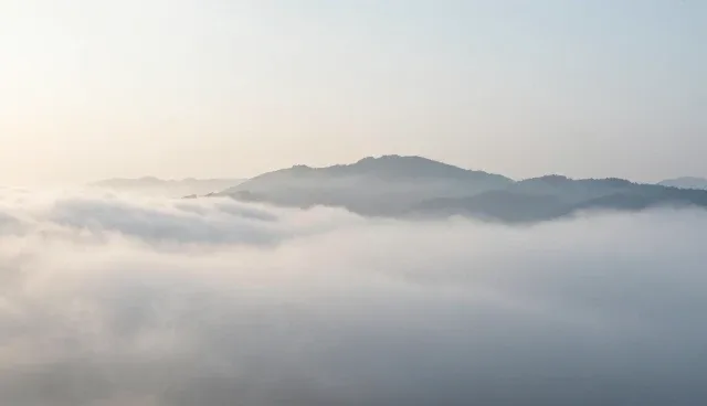 设计培训体系如何适应多场景性能需求