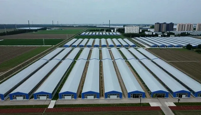 数据服务如何适应多变的业务场景需求