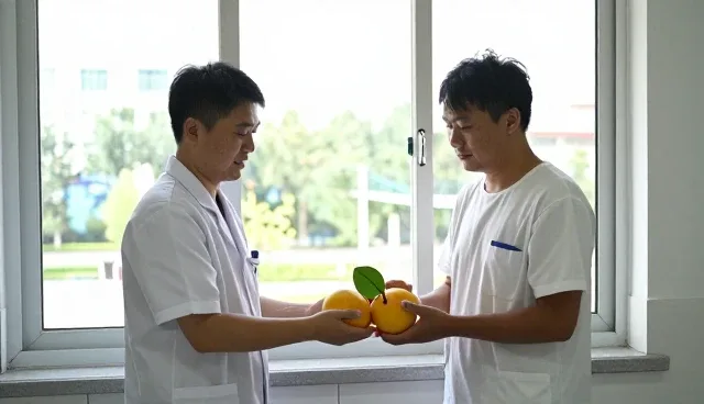 如何高效管理渠道客户的合作与维护
