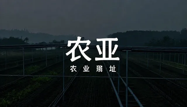 平面设计中常见的误区与正确理解方向