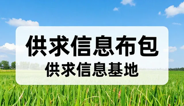 app软件开发公司如何通过品牌推广服务提升市场竞争力